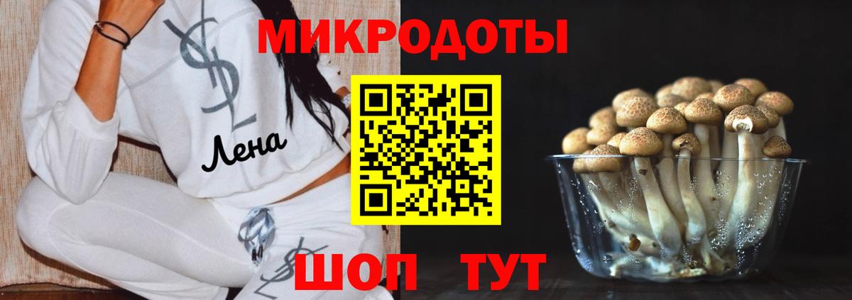 Сафоново  Псилоцибиновые грибы Magic Shrooms  Псилоцибиновые грибы Psilocybe  где купить наркотик  Вход с VPN 