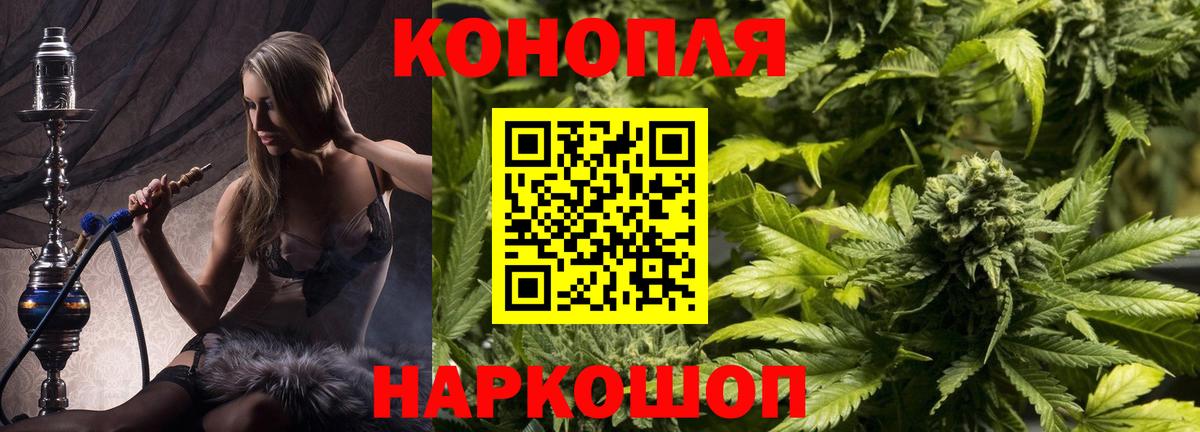 Бошки марихуана сатива Сафоново